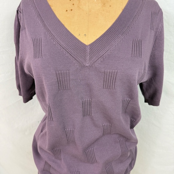 NWT Arach & Cloz Purple Short Sleeve V-Neck Sweater With Texture Details - Picture 2 of 11